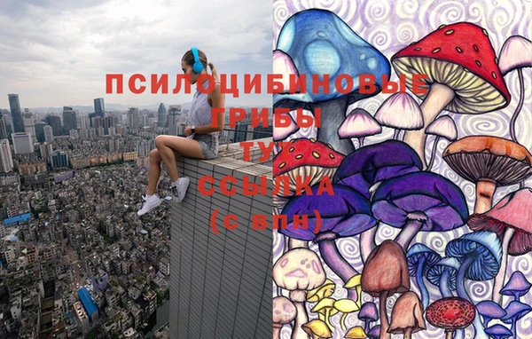 гашик Инта